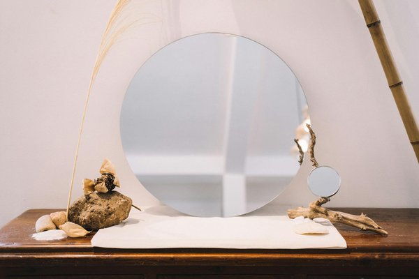 Un guide complet sur la plantation de rosiers